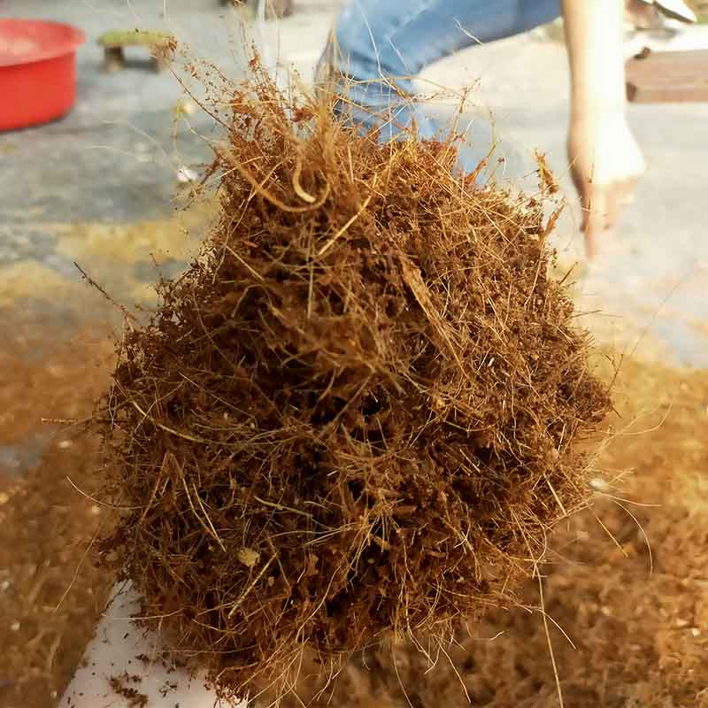thành phẩm dừa Máy băm gỗ đa năng 5T