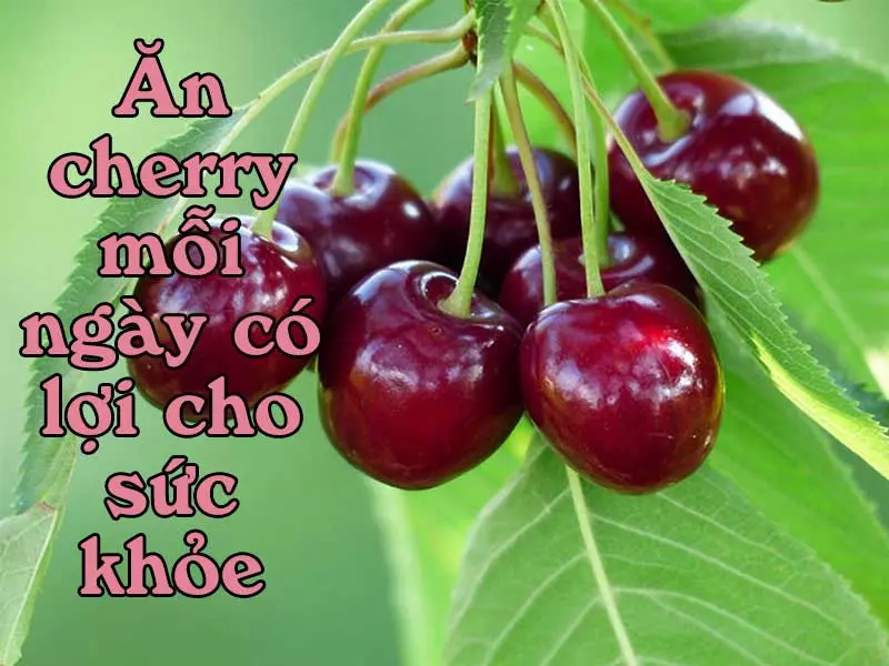 loi-ich-suc-khoe-khi-su-dung-cherry